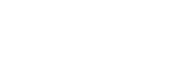 پائیونیر logo